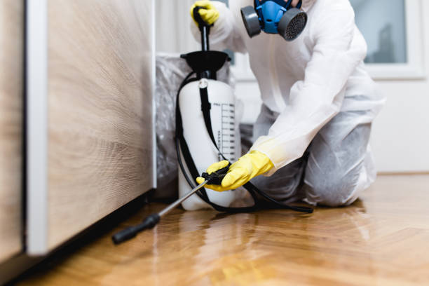 Best Mosquito Control Services  in Bottineau, ND