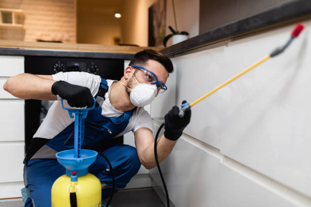 Reliable Bottineau, ND Pest Control Solutions