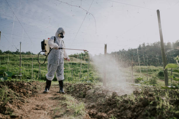 Best Pest Removal Services  in Bottineau, ND