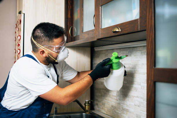 Best Exterminator Services  in Bottineau, ND
