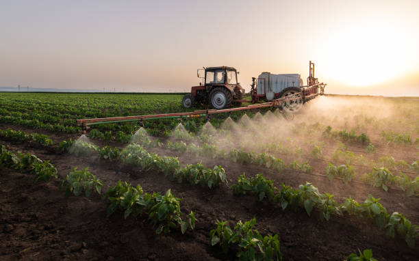 Best Emergency Pest Control  in Bottineau, ND