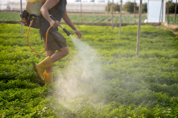 Best Best Pest Control Companies  in Bottineau, ND