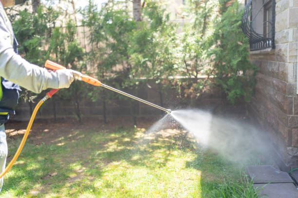 Best Residential Pest Control  in Bottineau, ND