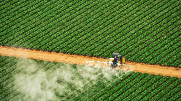 Best Pest Removal Services  in Bottineau, ND