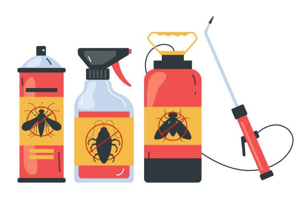 Best Ant Control Services  in Bottineau, ND