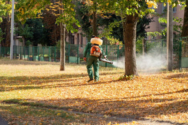 Best Commercial Pest Control Services  in Bottineau, ND