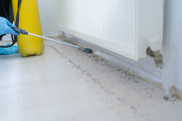 Best Affordable Pest Control Services  in Bottineau, ND
