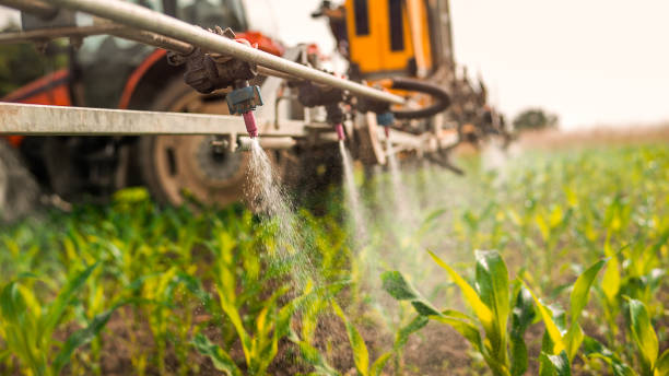 Best Pest Inspection Near Me  in Bottineau, ND